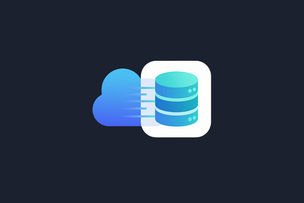 Data Storage Icon